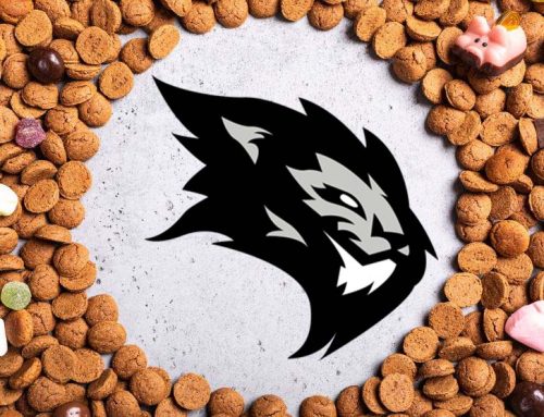 CrossFit Rijswijk Sint WOD – de feestelijkste trainingssessie